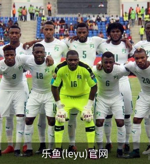 乐鱼(leyu)官网概况